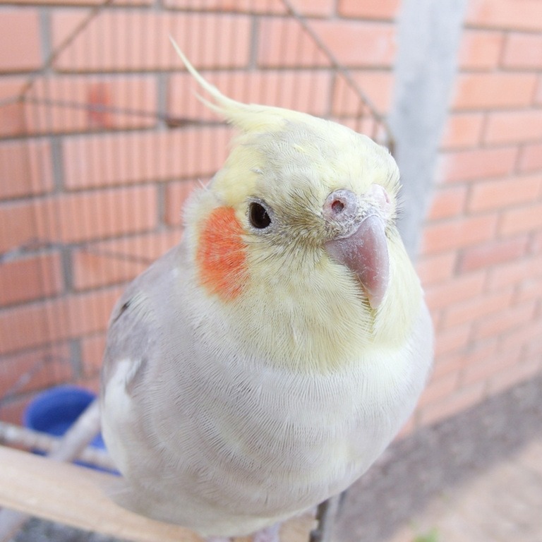 Margareth